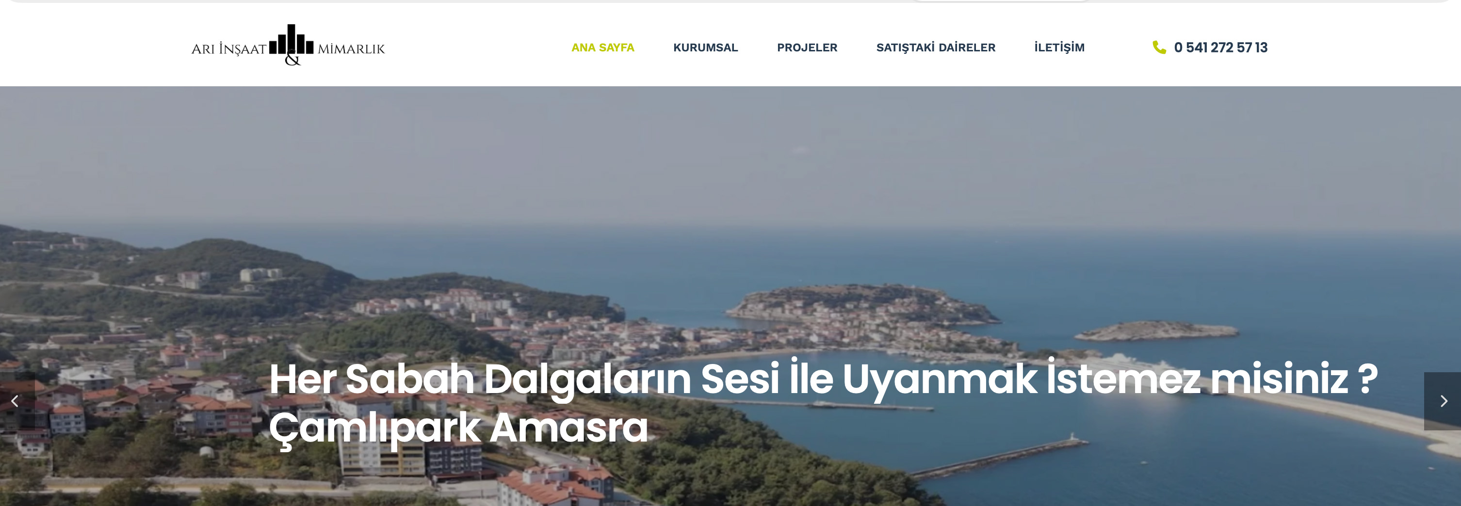 Arı İnşaat Mimarlık